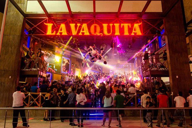 The little cow - What’s the Experience Like?