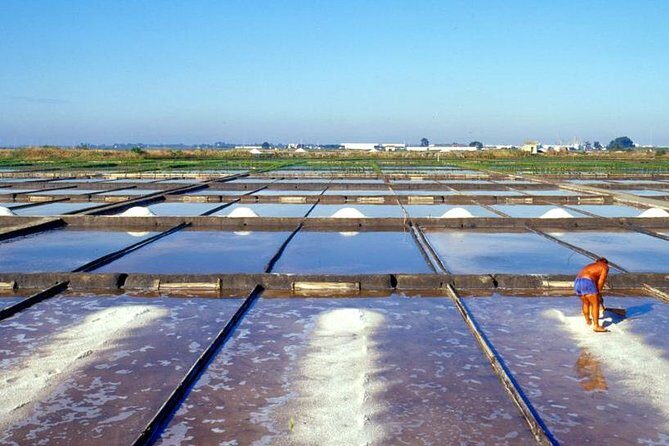 The Little Venice of Portugal: Aveiro Small Group Tour with Typical Boat Ride - The Canal Boat Ride: A Waterway Wonderland