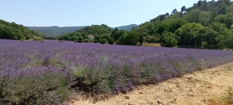 The Luberon: Gordes and Roussillon, discover it all by electric bike - Frequently Asked Questions