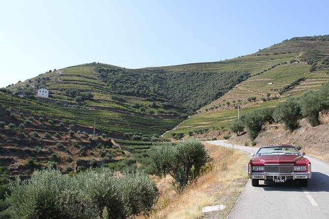 The Luxury Douro tour - Transportation and Comfort