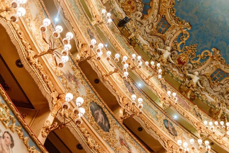 The Majestic Teatro La Fenice: Guided Tour in Venice - Who Should Consider This Tour?