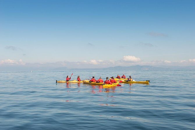 The Maori Carvings Half Day Kayak - Starting Point and Overall Setup