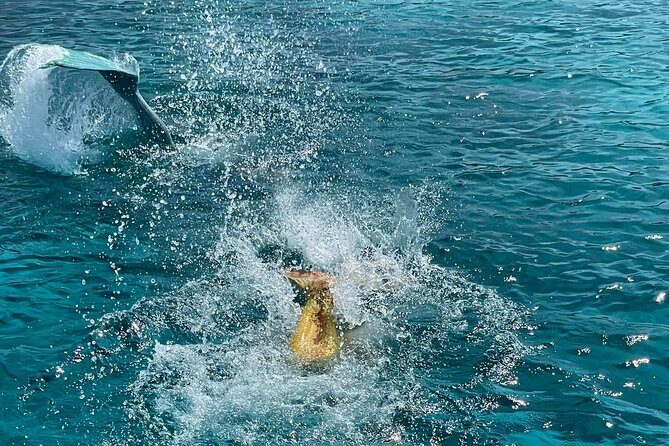 The Mermaid Cruise by Medusa Cruises  2:30-Hour Family Adventure - Final Thoughts