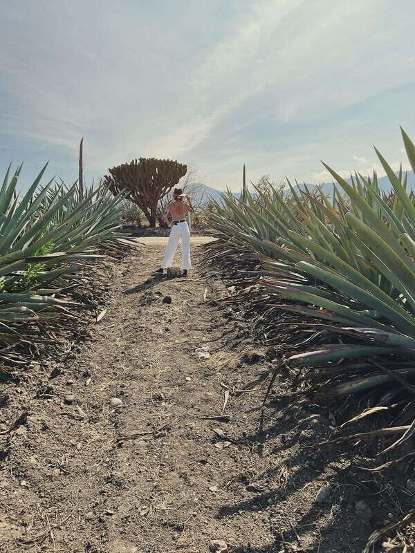 The Mezcal Journey - What Makes This Tour Special