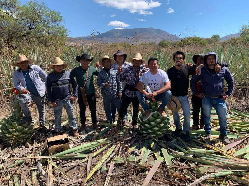 The Mezcal Journey - Considerations