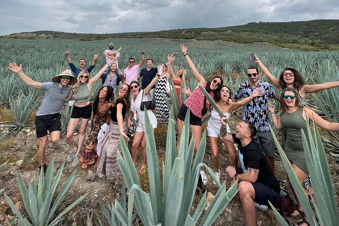 The Mezcal Journey - An In-Depth Look at the Tour