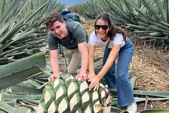 The Mezcal Journey - Who Is This Tour Best For?