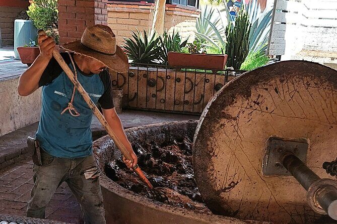 The Mezcal Tour - Key Points