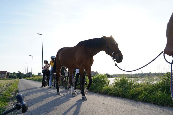 The Milan you don't expect, bike tour with picnic on the lake - Exploring Milan’s Hidden Green Lungs on Two Wheels