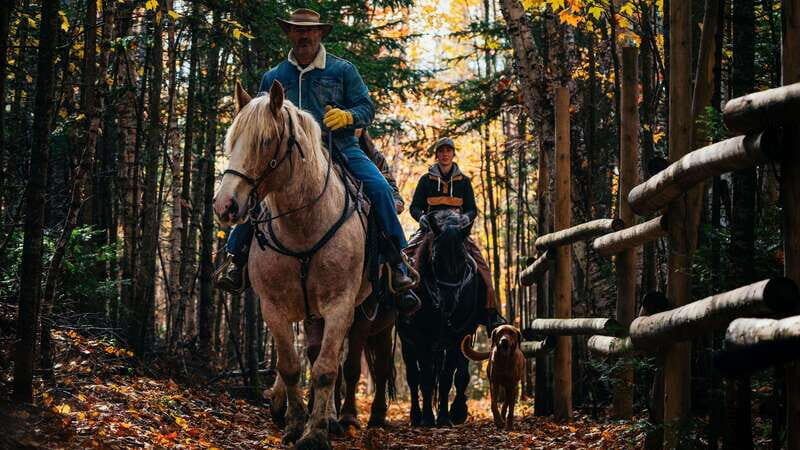 The Montagnarde: Guided horseback ride on mountain trails. - The Sum Up