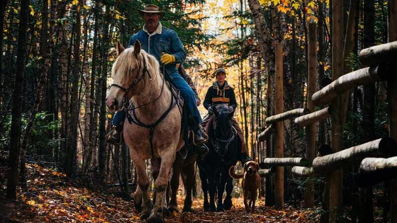 The Montagnarde: Guided horseback ride on mountain trails. - FAQ