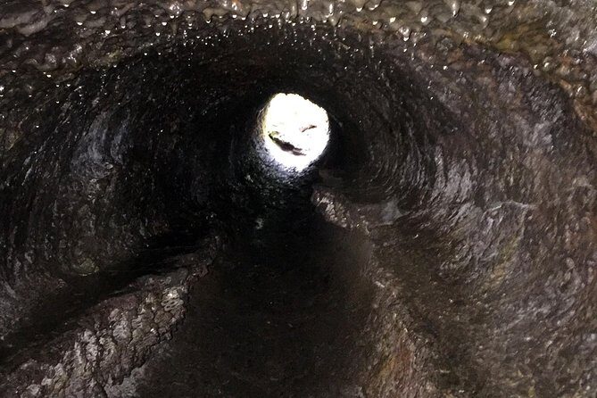 The Mt St Helens Adventure Tour from Portland - Key Points