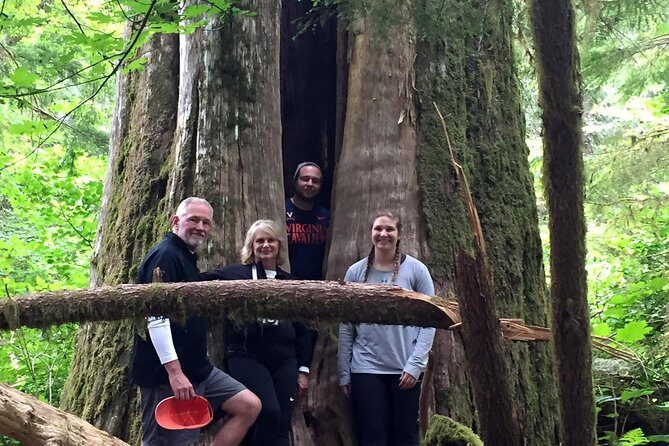 The Mt St Helens Adventure Tour from Portland - The Journey Through Mount St. Helens and Its Surroundings