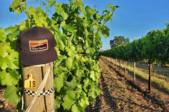 The Napa Native Experience - An Honest Look at the Value