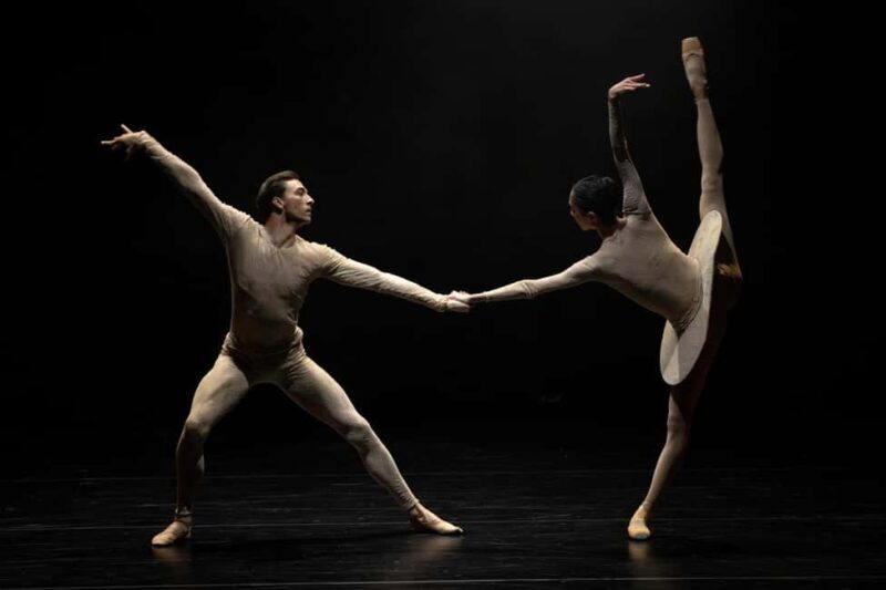 The New Years Day Ballet Concert Ticket | London - Worth Considering: The Downsides