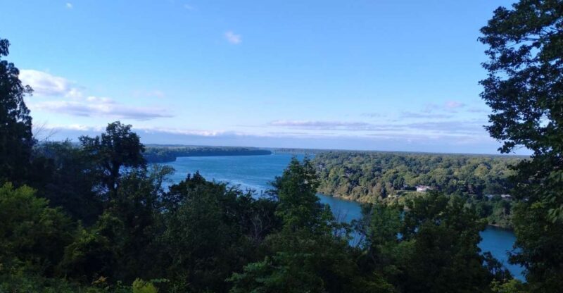 The Niagara On The Lake Experience Tour/W Winery - Diving into the Experience: What to Expect