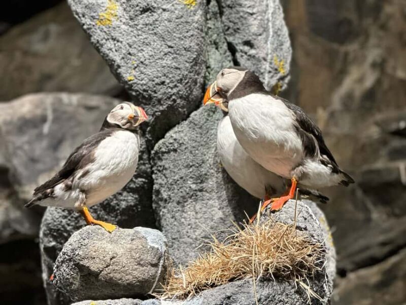 The North Cape Midnight Tour - Final Thoughts