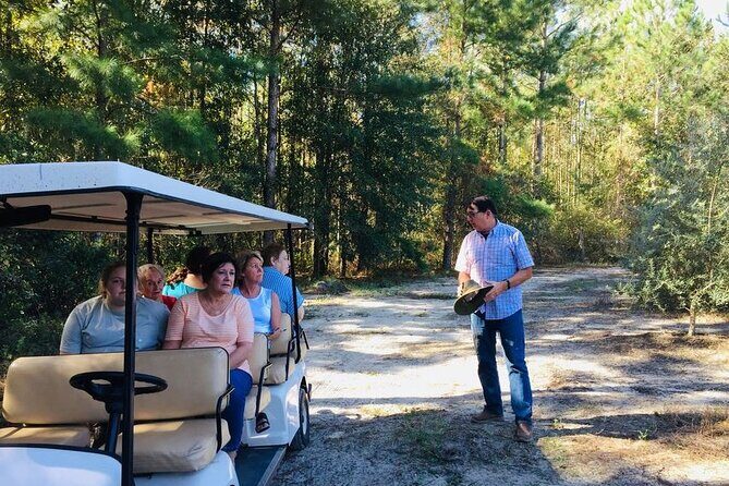 The Olive Grove Tour - Key Points