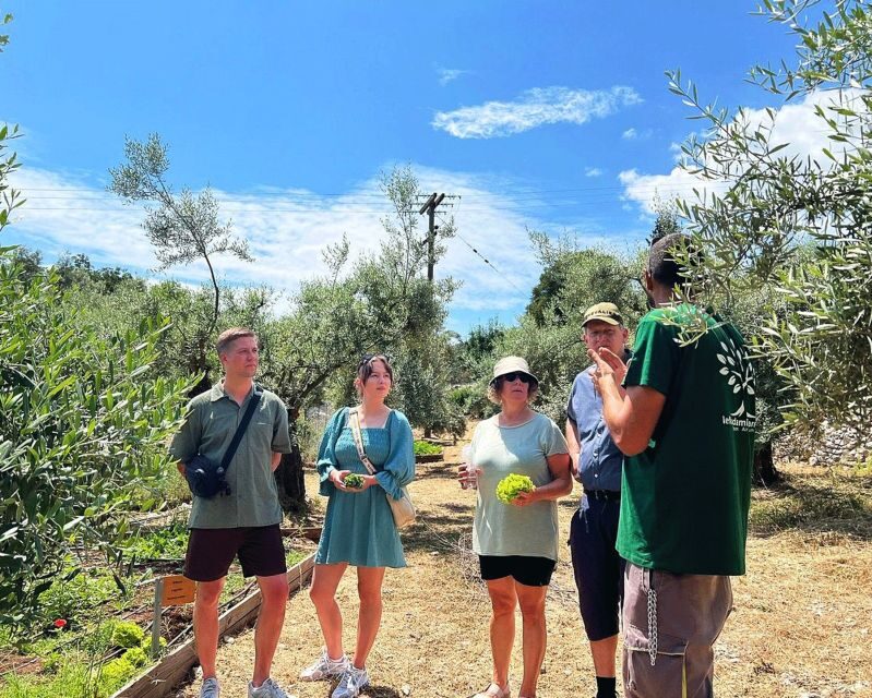 The Olive Oil Experience @ Lefkada Micro Farm - Who Should Consider This Tour?