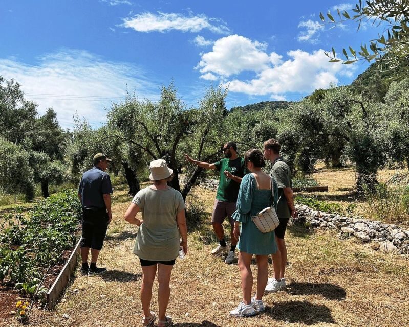 The Olive Oil Experience @ Lefkada Micro Farm - Final Thoughts
