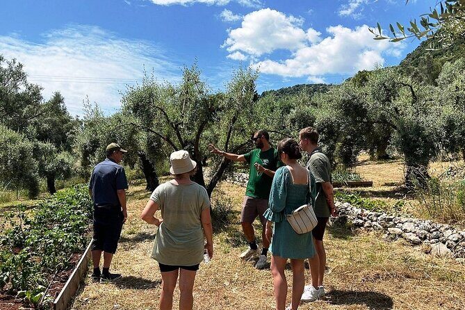 The Olive Oil Experience @ Lefkada Micro Farm - Who should consider this experience?