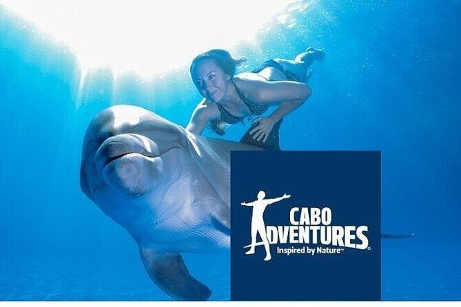 The only Natural Space Dolphin Encounter in Cabo Optional Pickup! - Exploring the Cabo San Lucas Dolphin Encounter in Detail