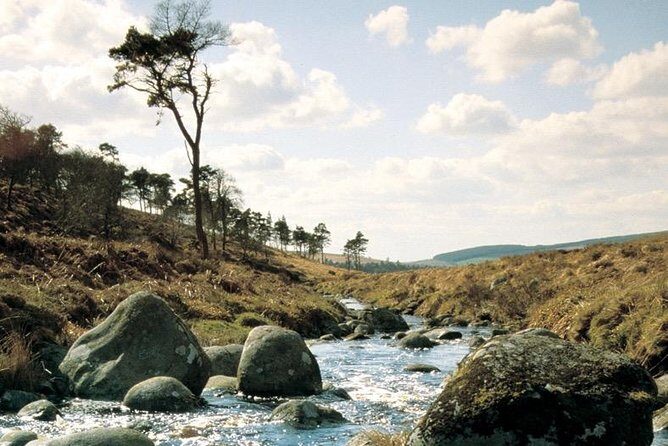 The Original Award Winning Wild Wicklow Tour incl. Glendalough - FAQ