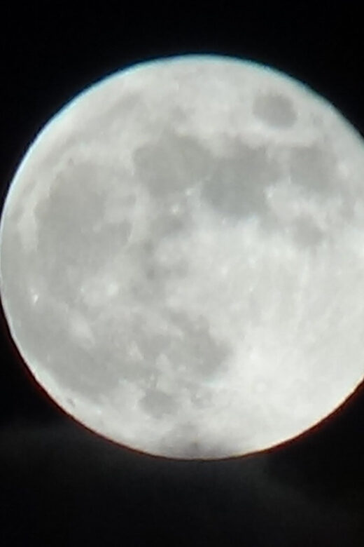 The Original Ghost of Williamsburg Candlelight Walking Tour - Who Will Love This Tour