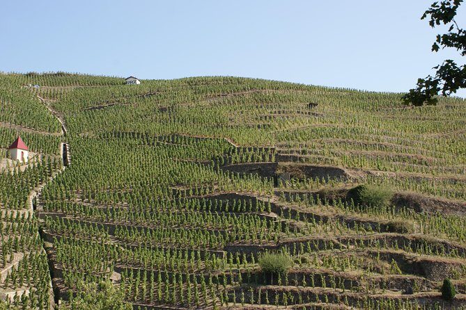 The Original Syrah Wine Tour (2:00 pm - 6:30 pm) - Small Group Tour from Lyon - A Closer Look at the Tour Itinerary