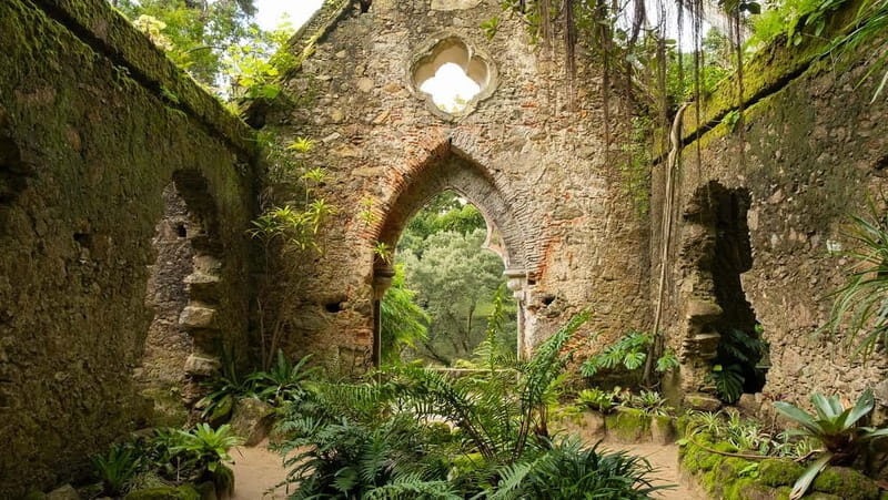 The Other Side of Sintra - Forgotten Woods Tour - Key Points
