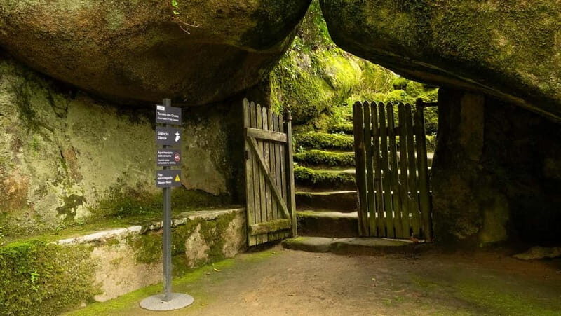The Other Side of Sintra - Forgotten Woods Tour - Discovering the Hidden Corners of Sintra