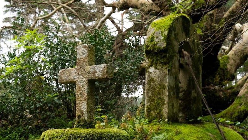 The Other Side of Sintra - Forgotten Woods Tour - Who Should Consider This Tour?