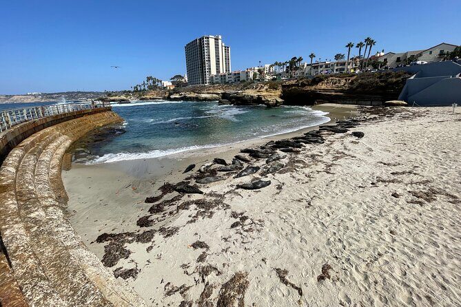 The Plunge E-Bike Tour in La Jolla - FAQs