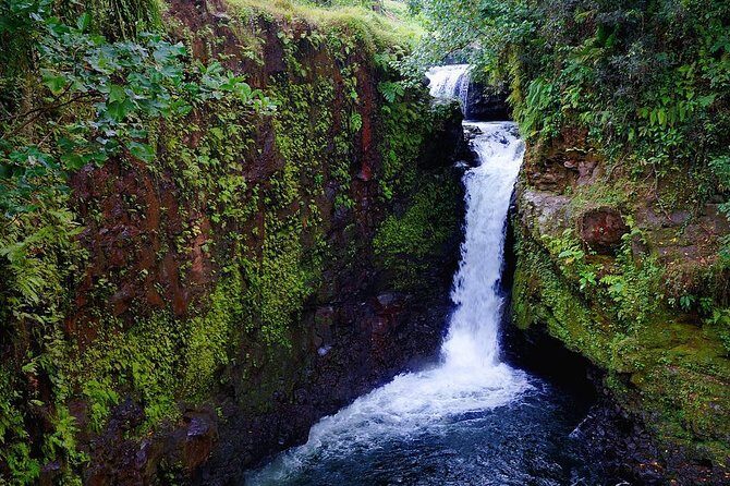 The Pristine Waters of Upolu - An In-Depth Look at the Upolu Water Tour