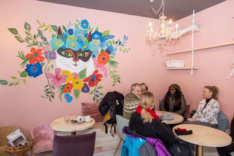 The Private Reykjavik CatWalk - What Is the Private Reykjavik CatWalk?