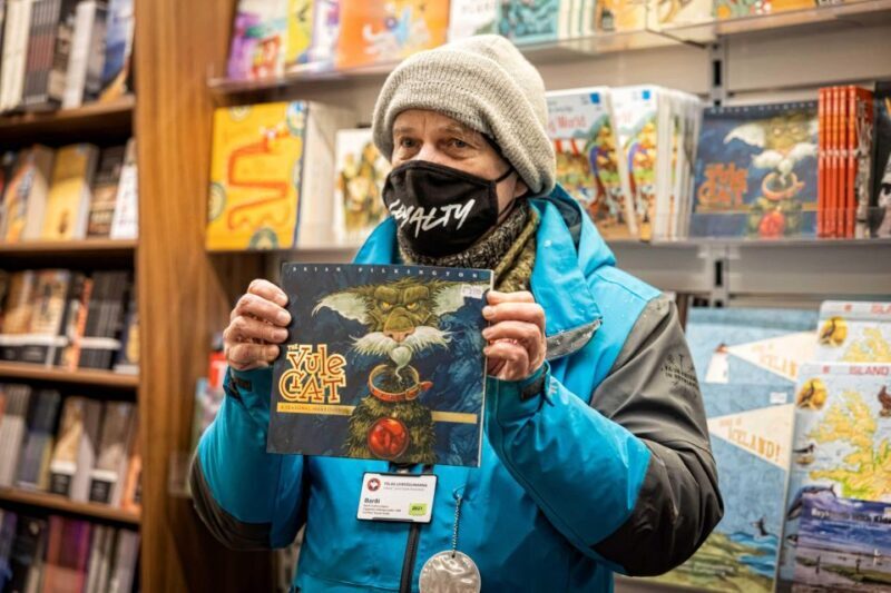 The Private Reykjavik CatWalk - What’s Included & What to Expect