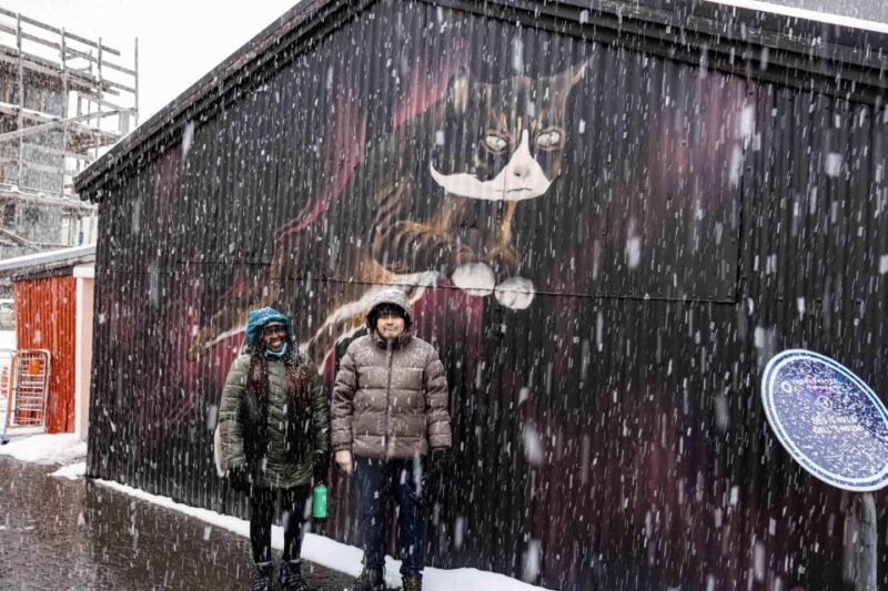 The Private Reykjavik CatWalk - The Sum Up: Who Should Consider It?