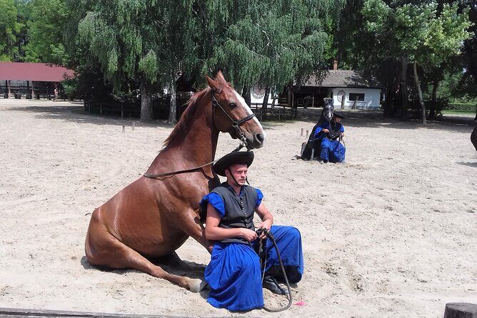 The "Puszta" Horse Show - Key Points