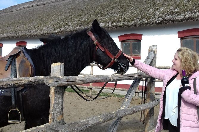 The "Puszta" Horse Show - A Closer Look at the "Puszta" Horse Show Tour