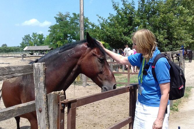 The "Puszta" Horse Show - Final Thoughts