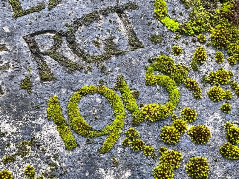 The rather unknown Melaten - A Closer Look at the Melaten Tour