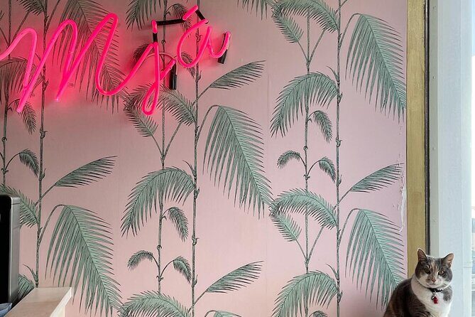 The Reykjavik Cat Walking Tour - Frequently Asked Questions