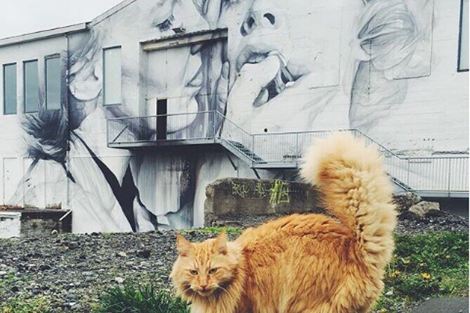 The Reykjavik Cat Walking Tour - Final Thoughts
