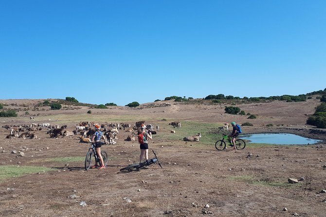 The ring of Mountain Tuttavista with Electric Mountain Bikes - What Makes This Tour Stand Out