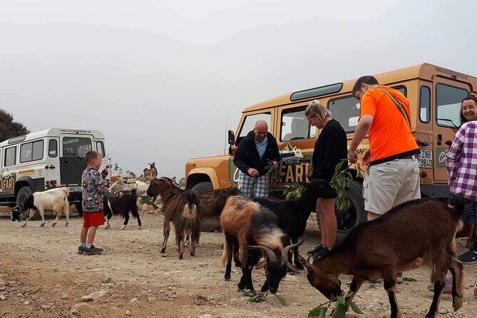 The Roads Of Wine Olive Oil And Cretan Tradition in Malia - Who Should Consider This Tour?