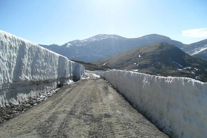 The Rocky Mountain National Park Winter Safari Tour - What’s This Tour All About?