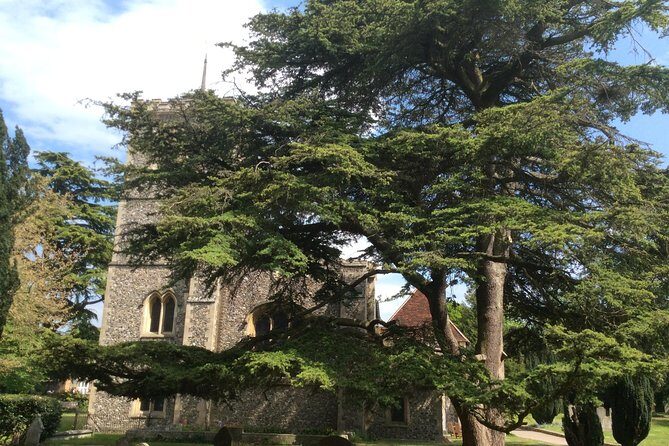 The Roman City of St Albans Private Tour - A Deep Dive into the St Albans Private Tour