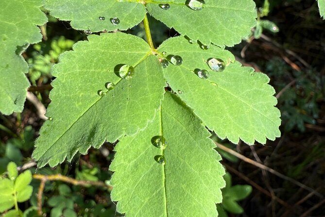 The Sacred Mountains Of Banff And Canmore Walking Tour - Final Thoughts