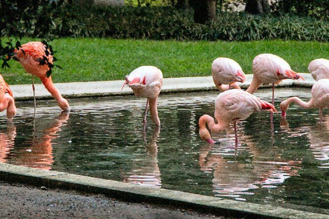 The Secret Milan  An Exclusive Stroll Beyond the Beaten Path - A Closer Look at the Tour Experience