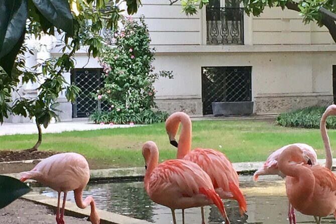 The Secret Milan  An Exclusive Stroll Beyond the Beaten Path - Practical Details and What to Expect